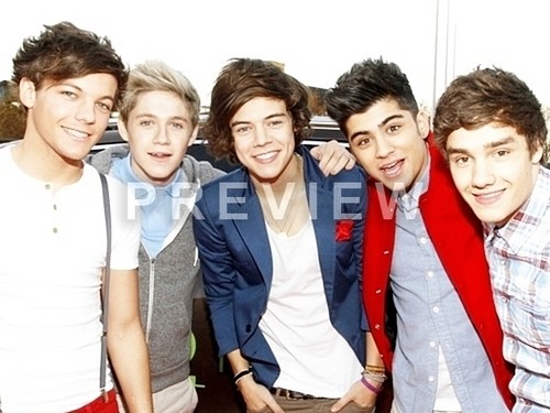 I love you One Direction ! :) x