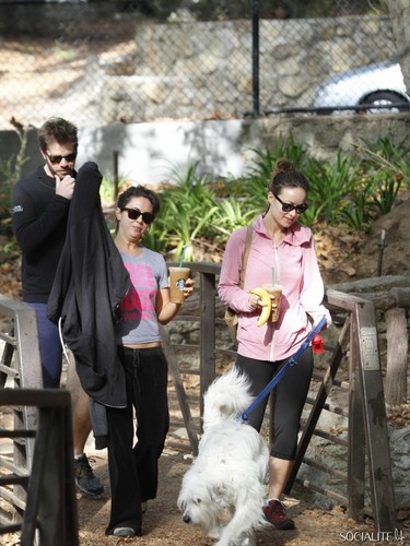  Olivia Wilde Hikes WIth دوستوں At Griffith Park