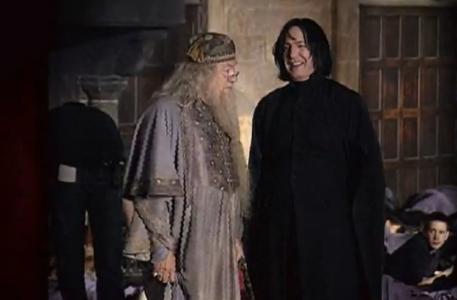  Snape and Dumbledore