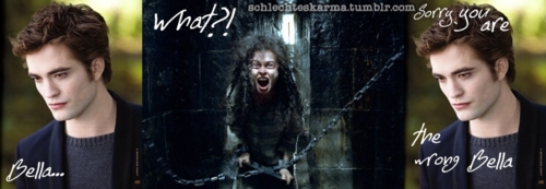  Some funny pictures of Bellatrix