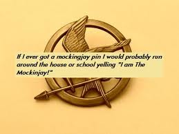  The Hunger Games Confessions