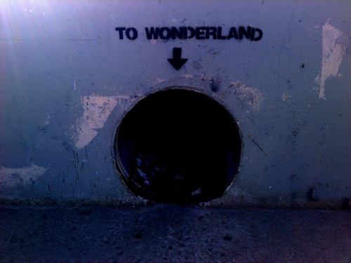  to wonderland