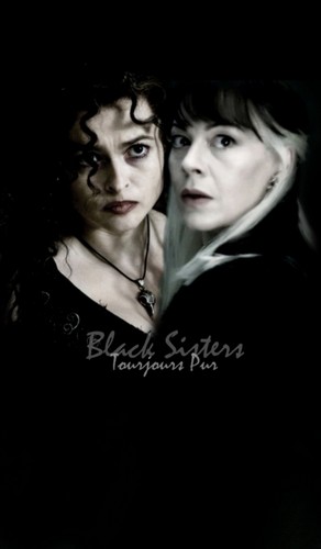  Bellatrix and Narcissa