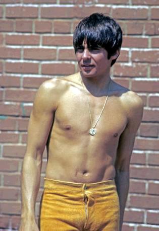  Davy Jones shirtless