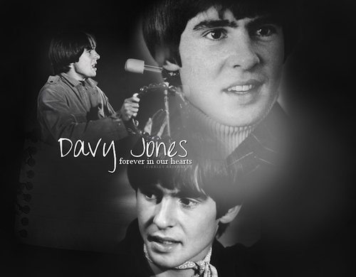  Davy♥