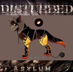 Disturbed wolf