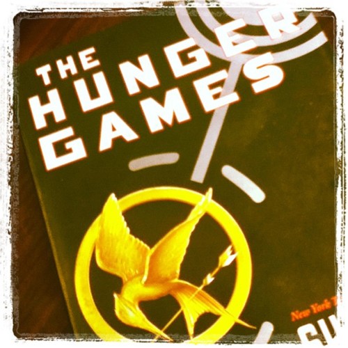  Hunger Games fan Arts <3