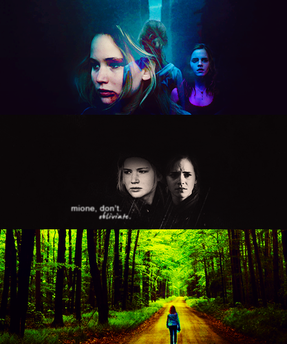  Katniss and Hermione