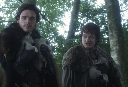  Robb and Theon with direwolfs