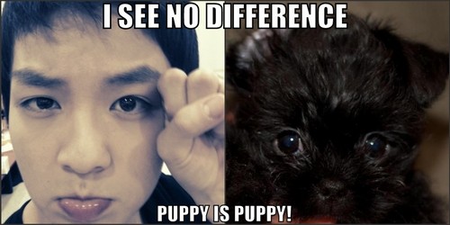  Teen juu Ricky = puppy - I see no difference