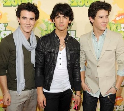  The Jonas Brothers