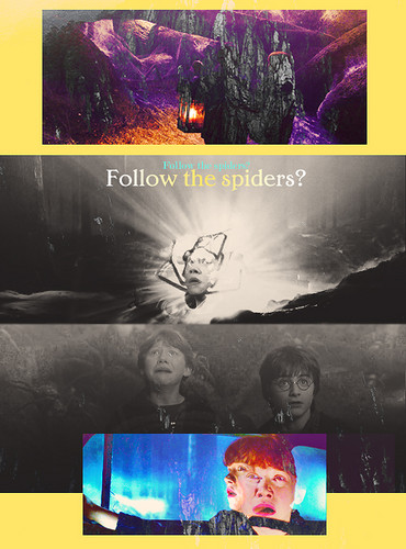  - Harry Potter - Moments Follow the spiders? Follow the spiders?