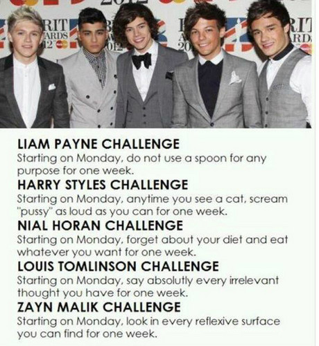  1D's Challenge♥