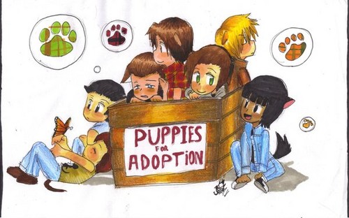 Outsiders Puppies <3