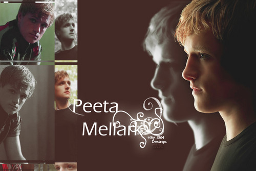  Peeta Mellark achtergrond