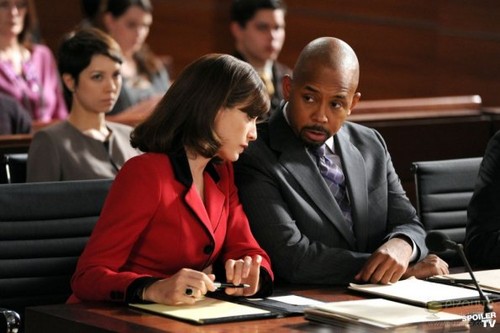  The Good Wife - Episode 3.18 - Gloves Come Off - Promotional تصویر