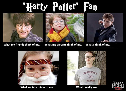 What society thinks of fans