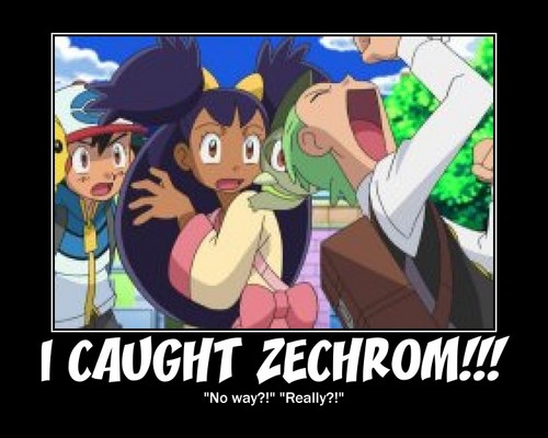  Zekrom related Cilan Picture