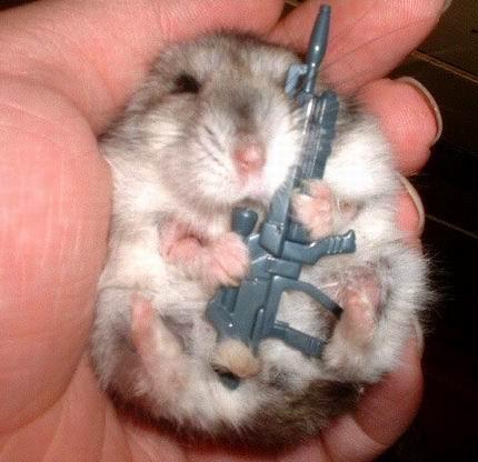  a hamster with a Weapon