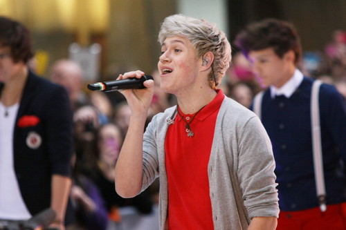  1D performing on the "Today Show" :)