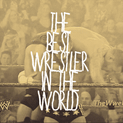  Best In The World