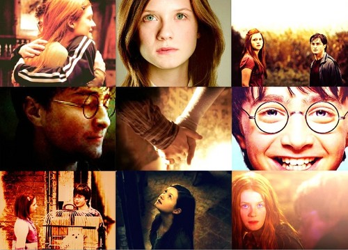  Harry~Ginny