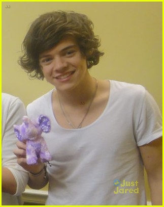 One Direction: Elephant Project Pics!