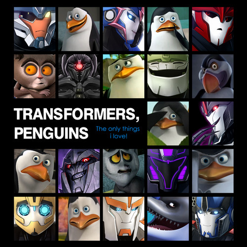  Penguins and Transformers!