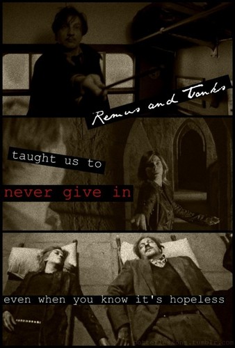 Tonks and Remus