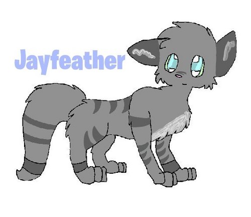  Jayfeather~ <3