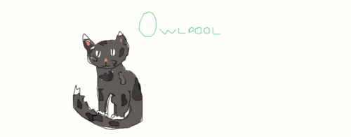  My fan Character, Owlpool