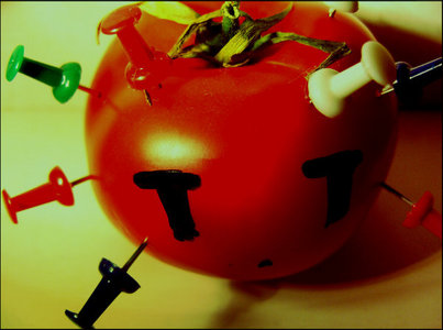  Red tomate, tomaten
