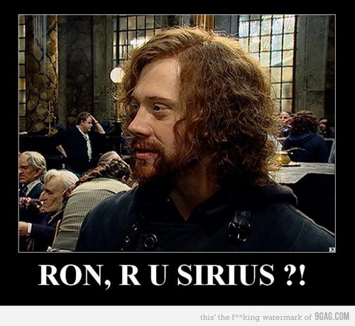  Ron, are 你 Sirius?!