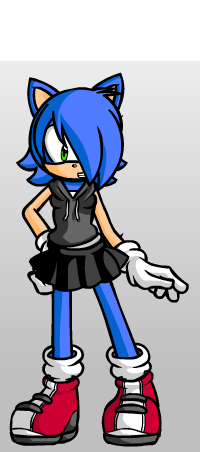  Sonic's twin sister sonia