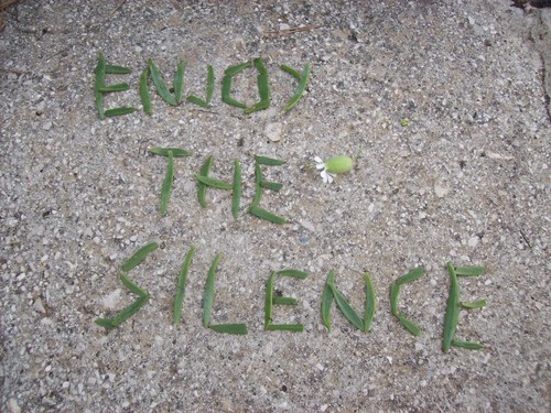  enjoy the silence
