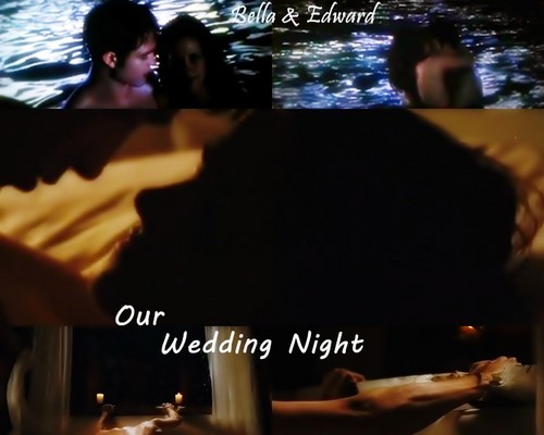  Edward & Bella Wedding Night