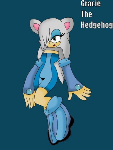  Gracie The Hedgehog (NOT MINE)
