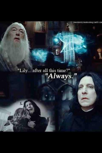  Harry Potter & Zufällig