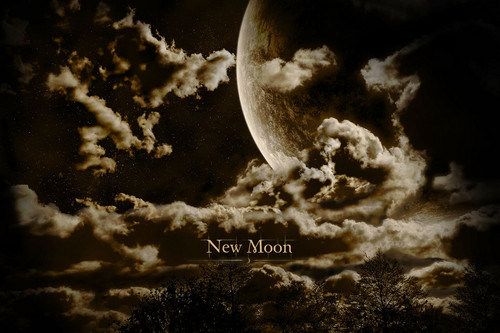 New Moon Fanart