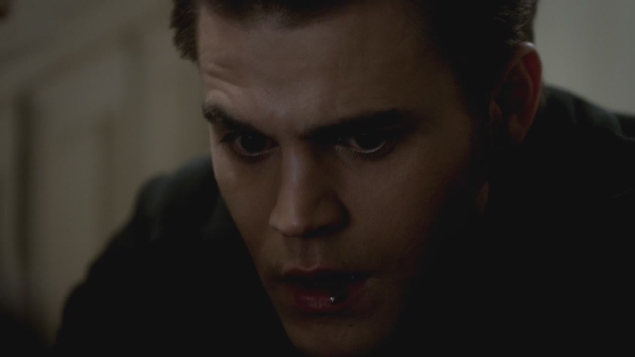 The Vampire Diaries 3x17 Break On Through HD Screencaps - Stefan ...
