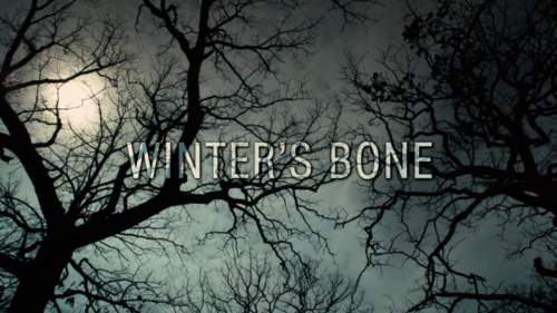  Winter's Bone Stills and Gifs