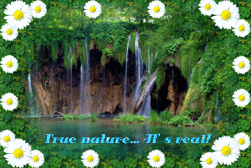 True nature... It's real! - Animals and Nature Photo (30080313) - Fanpop