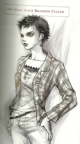  Twilight Official Illustrated Guide