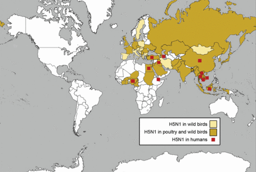  Where Is H5N1