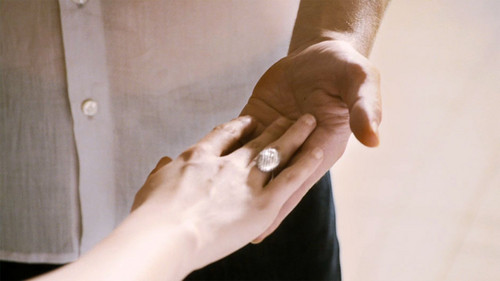  edward and bella forever
