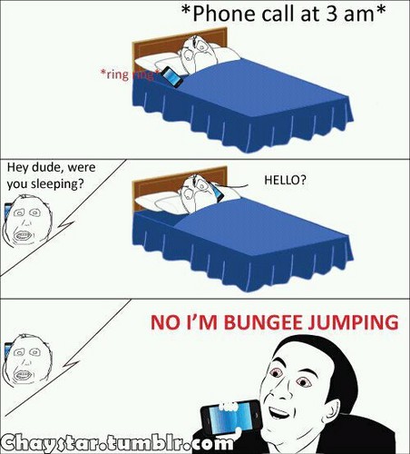  Bungee Jumping!