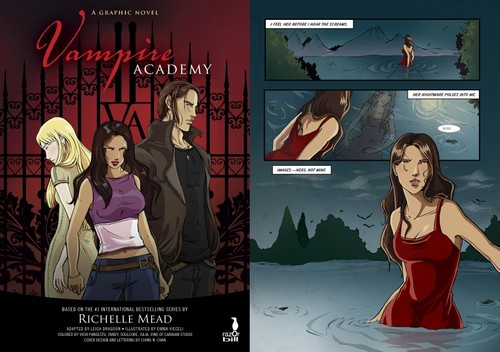  Vampire Academy Graphic Novel