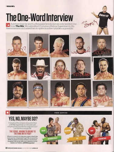  美国职业摔跤 Magazine - April 2012