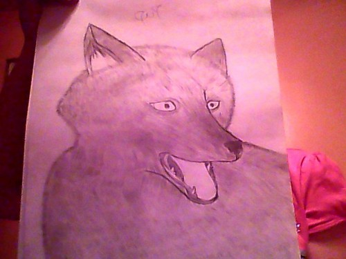  serigala, wolf Pup