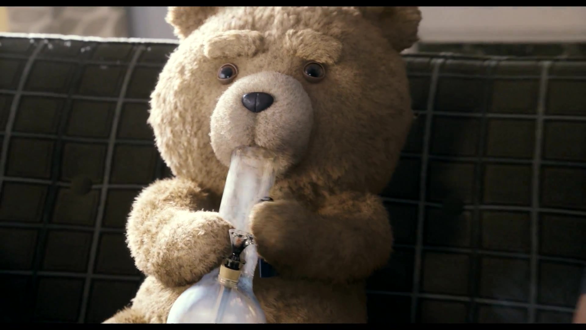 Тэдди выскочил из засады с глухим ревом. Мишка Тедди третий лишний. Третий лишний / Ted (2012). Третий лишний 2 Тед курит.